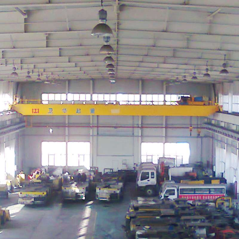 WEIHUA FEM/DIN Double Girder Overhead Crane